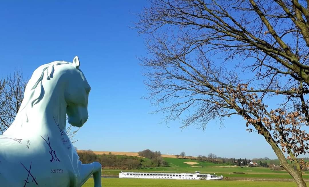 Reiterhof Schmidt, Gaststaette & Pension Golk Eksteriør billede